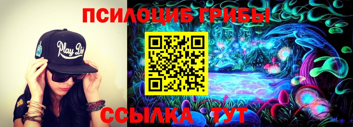 Галлюциногенные грибы MAGIC MUSHROOMS Каменск-Уральский